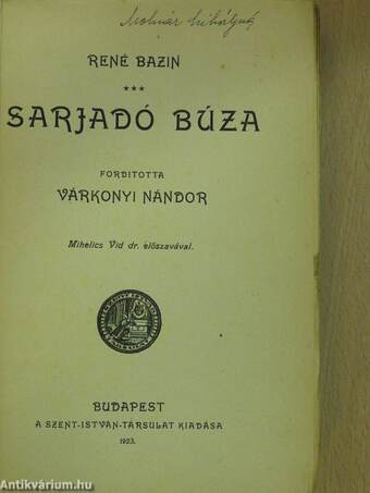 Sarjadó búza