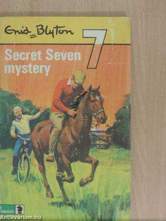 Secret Seven Mystery