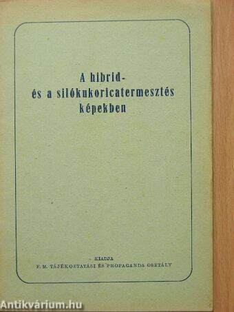 A hibrid- és a silókukoricatermesztés képekben