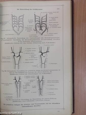 Anatomischer Atlas für studierende und Ärzte V.