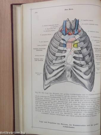 Anatomischer Atlas für studierende und Ärzte V.