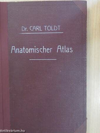 Anatomischer Atlas für studierende und Ärzte III. 