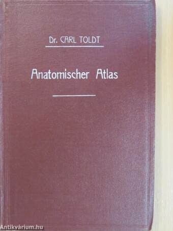 Anatomischer Atlas für studierende und Ärzte IV.