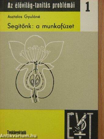 Segítőnk: a munkafüzet