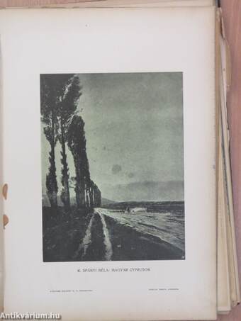 A Budapesti Ujságirók Egyesülete Almanachja 1905. (rossz állapotú)