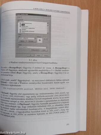 Programozzunk C++ Builder rendszerben! - CD-vel