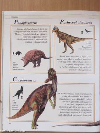 Dinoszaurusz gyermekenciklopédia