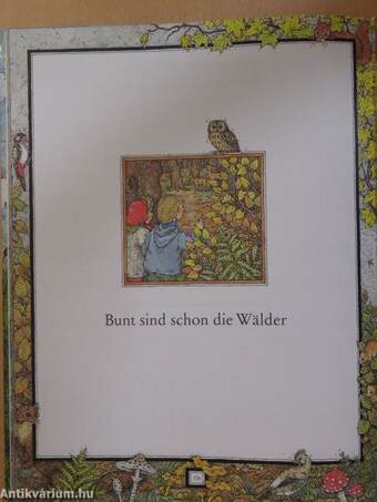 Das grosse Buch der Kinderlieder