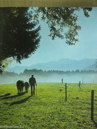 Chiemgau - Rosenheim - Inntal