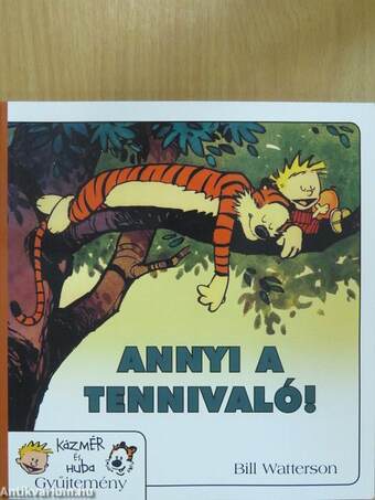 Annyi a tennivaló!