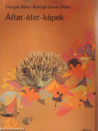 Állat-élet-képek