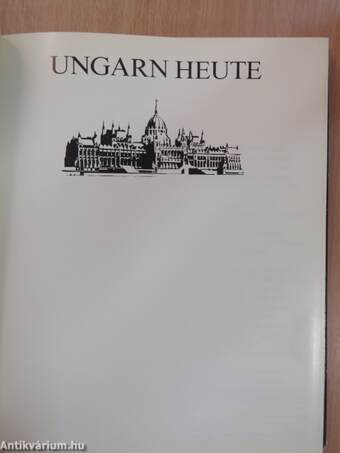 Ungarn Heute