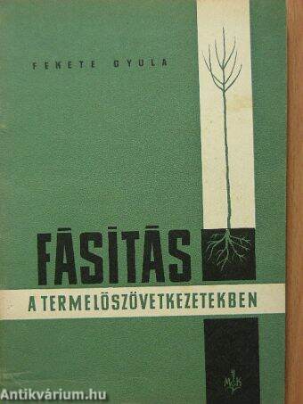 Fásítás a termelőszövetkezetekben