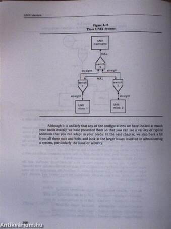 Tricks of the UNIX Masters