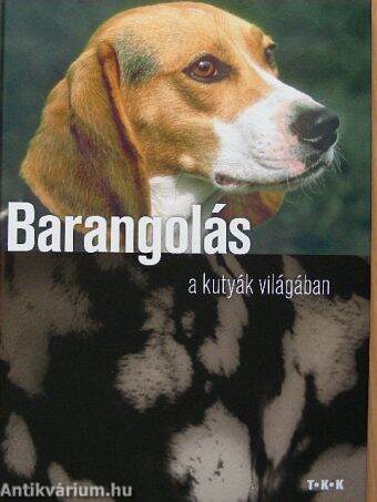 Barangolás a kutyák világában