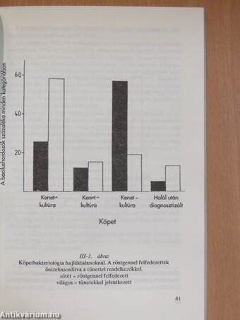 Hajléktalanság a nemzetközi irodalom tükrében