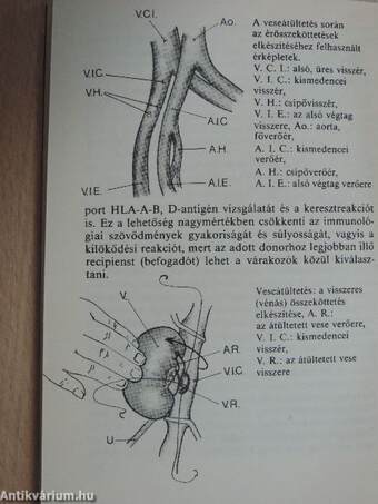 Élet a halál árán