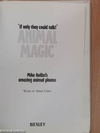 Animal Magic