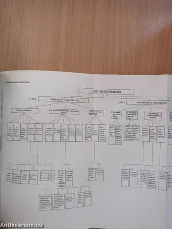 Neveléselmélet és iskolakutatás 1985/2.