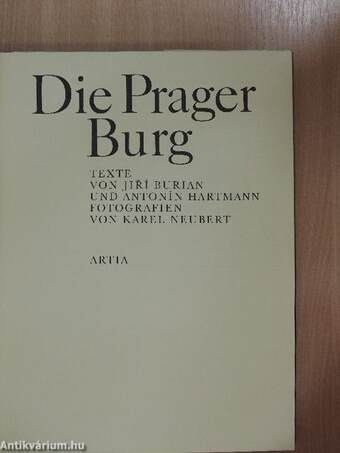 Die Prager Burg