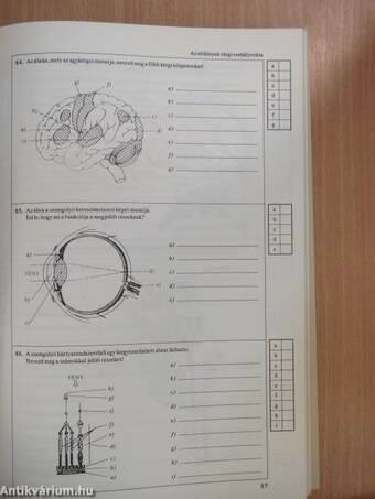 Biológiai feladatsorozatok középiskolásoknak IV. osztály