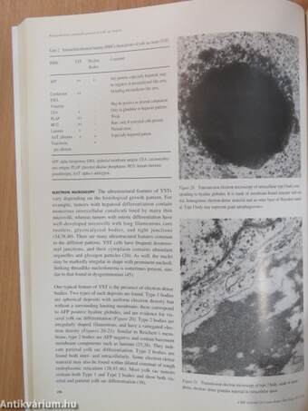 CME Journal of Gynecologic Oncology Volume 2 Number 1 March 1997