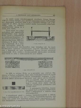 Természettudományi Közlöny 1925. december