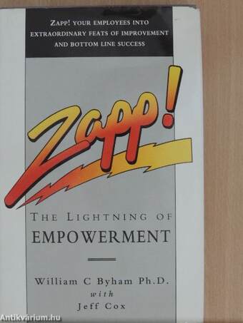 Zapp! The Lightning of Empowerment