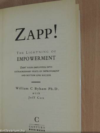 Zapp! The Lightning of Empowerment