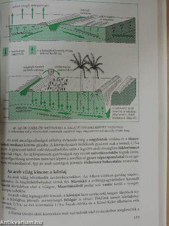 Regionális földrajz