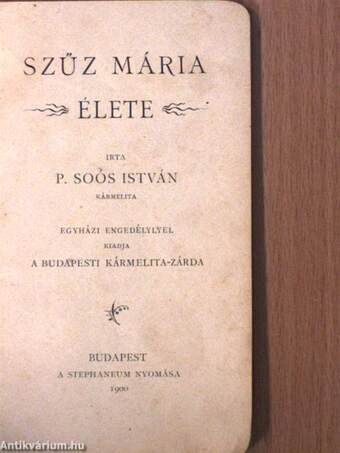 Szűz Mária élete