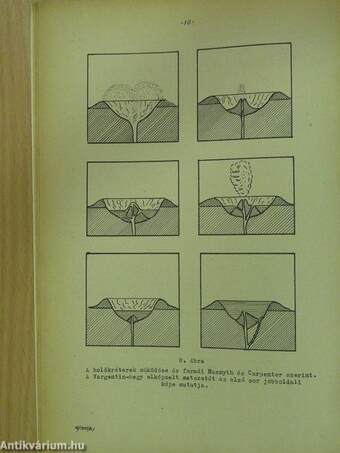 Meteor 1955. január-február