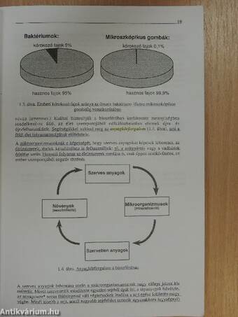 Mikrobiológia - higiéné 1-3. füzet