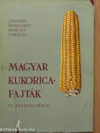 Magyar kukoricafajták és termesztésük