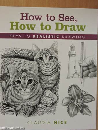 How to See, How to Draw