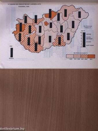 A tanácsok tevékenysége 1976-1979