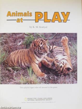 Animals at Play