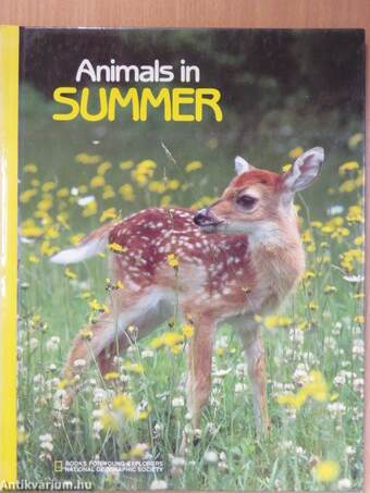 Animals in Summer