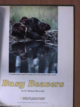 Busy Beavers