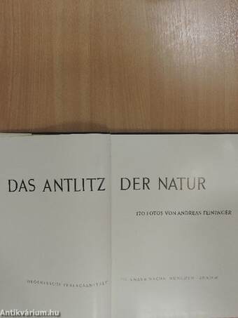 Das Antlitz der Natur