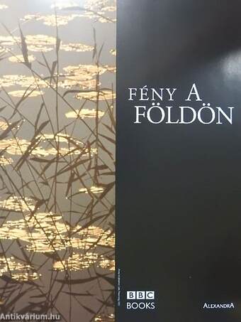 Fény a Földön