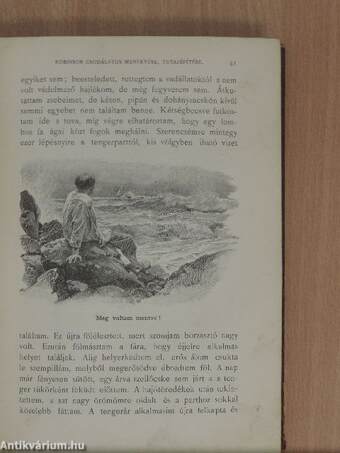 Robinson Crusoe élete és viszontagságai