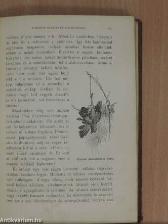 Robinson Crusoe élete és viszontagságai