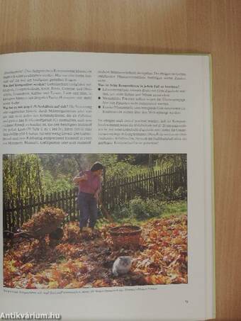 Gesunde Zierpflanzen im Garten