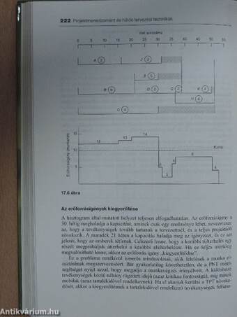 Projektmenedzsment és hálós tervezési technikák