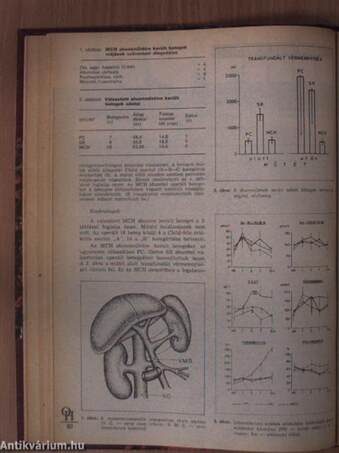 Orvosi hetilap 1984. január-június (fél évfolyam)