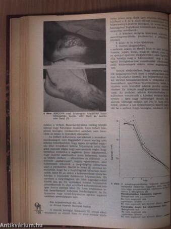 Orvosi hetilap 1984. január-június (fél évfolyam)