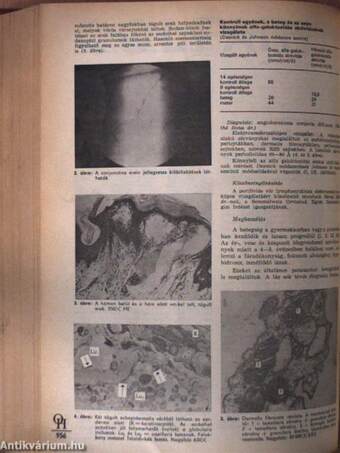 Orvosi hetilap 1981. január-június (fél évfolyam)