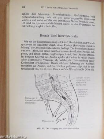 Grenzgebiete der inneren Medizin und Neurologie in Klinik und Praxis