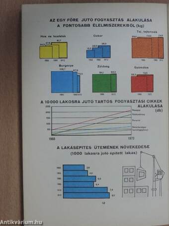 A szocializmus építésének kérdései